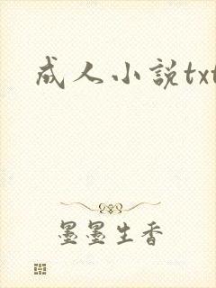 成人小说txt