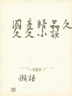 国产精品久久久久久小说