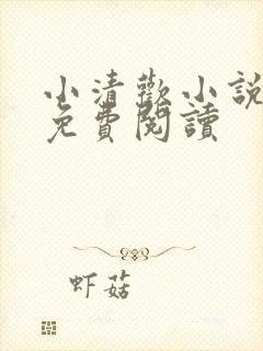 小清欢小说全文免费阅读