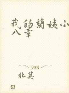 我的兰姨小说第八章