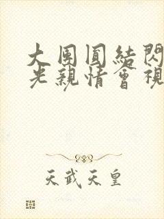 大团圆结闪闪发光亲情会视频