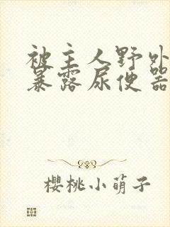 被主人野外调教暴露尿便器