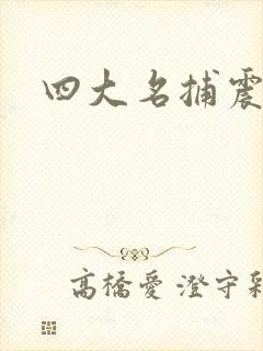 四大名捕震关东