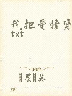 我把爱情煲成汤txt