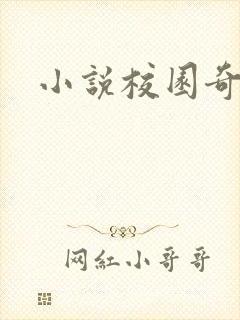 小说校园奇侠