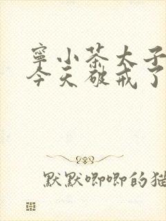 宁小茶太子殿下今天破戒了吗免费阅读