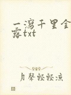 一泻千里金银花露txt