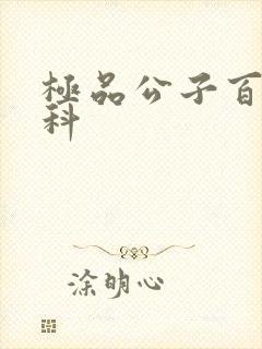 极品公子百度百科