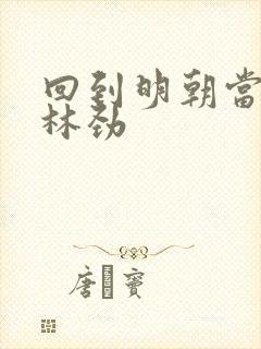 回到明朝当王爷林劲