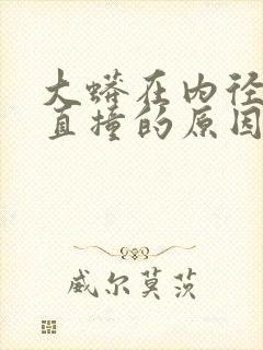 大蟒在内径横冲直撞的原因