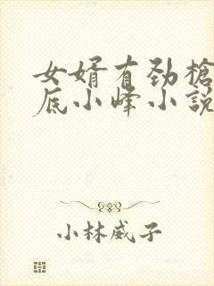 女婿有劲枪枪到底小峰小说