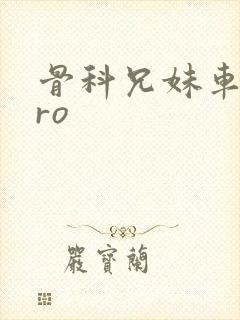 骨科兄妹车多pro