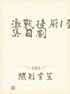 激战后厨1至5集日剧