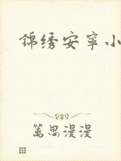 锦绣安宁小说