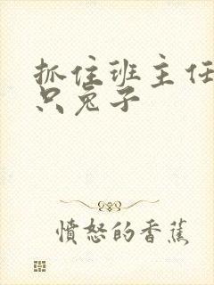 抓住班主任的两只兔子