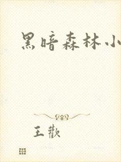 黑暗森林小说