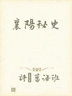 襄阳秘史