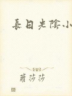 长日光阴小说