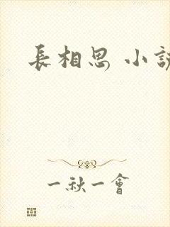 长相思 小说