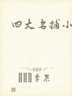四大名捕小说