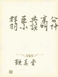 群臣共享公主银羽小说叫什么