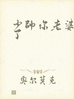 少帅你老婆又跑了