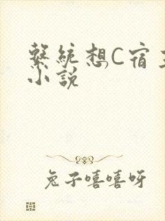 系统想C宿主的小说