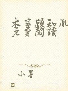 木宁顾知胤小说免费阅读