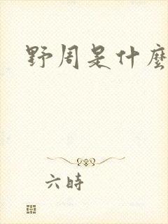 野周是什么意思