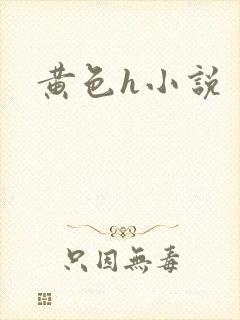 黄色h小说