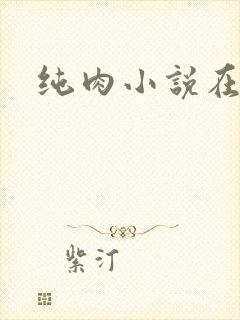 纯肉小说在线