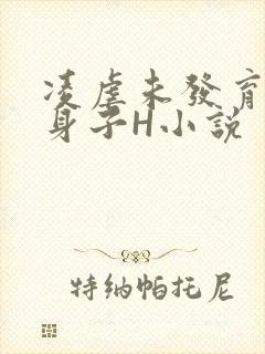 凌虐未发育的小身子H小说