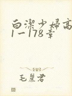 白洁少妇高义第1一178章