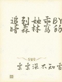 追到她乖BY黑暗森林写的小说