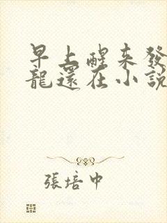 早上醒来发现巨龙还在小说