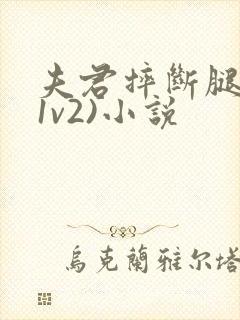 夫君摔断腿后(1v2)小说