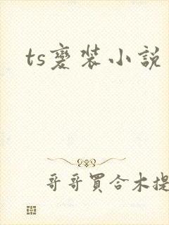 ts变装小说