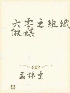 六零之组织给我做媒