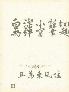 白洁小说txt无弹窗笔趣阁