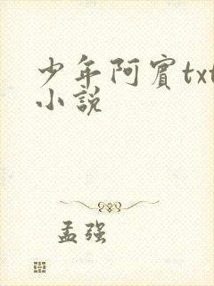 少年阿宾txt小说