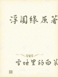 浮图缘原著小说