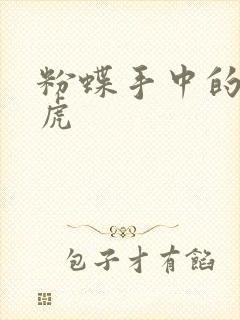 粉蝶手中的纸老虎