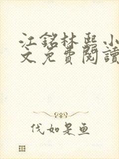 江铭林熙小说全文免费阅读