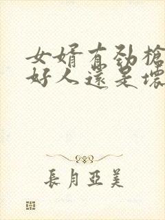 女婿有劲枪枪是好人还是坏人