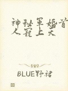 神秘军婚首长大人宠上天