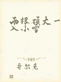 两根硕大一起挤入小雪