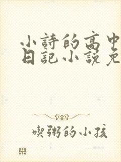 小诗的高中成长日记小说免费阅读