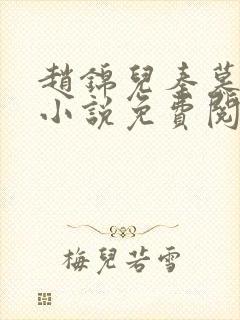 赵锦儿秦慕修的小说免费阅读全文