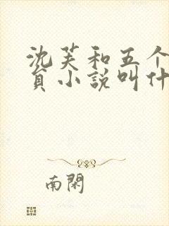 沈芙和五个消防员小说叫什么