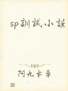 sp训诫小说